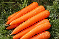 Семена Морковь Vita Longa среднепоздняя крупная Голландия