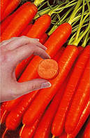 Семена моркови Tue Shown крупноплодный устройчивый к грибкам и бактериям без сердцевины Голландия