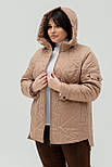 Куртка Орлеан капучино 54 (101399), фото 6