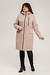 Плащ Венеція пудра 50 (101444), фото 2
