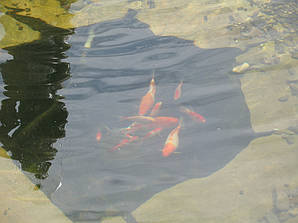 Наши работы. 8