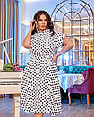 Жіноча біла літня сукня міді в горошок великі розміри, фото 3
