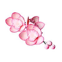 Гілочка орхідеї тонована Блакитна/рожева/лимонна цукровий декор Флористика