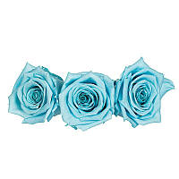 Стабилизированная роза бутон 8 шт голубая 24x13x7,5 см 0301671