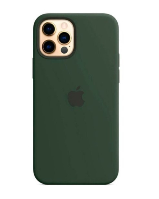 Чохол (Sillicon Case) для iPhone 12 / iPhone 12 Pro with magsafe and splash Cyprus Green