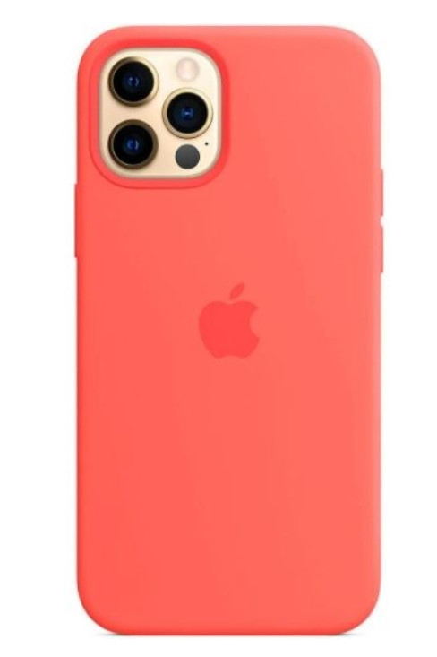Чохол (Sillicon Case) для iPhone 12 / iPhone 12 Pro with magsafe Pink Citrus