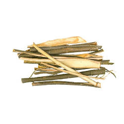 Верба біла Кора (Ива Белая), 50г