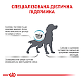 Сухий дієтичний корм Royal Canin Hypoallergenic для собак при небажаній реакції на корм, 2 КГ, фото 7