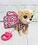 М'яка інтерактивна іграшка «Собачка в сумці» леопард, собачка з повідком, ходить, виляя хвостом, співає 3 пісні українською мовою,, фото 3