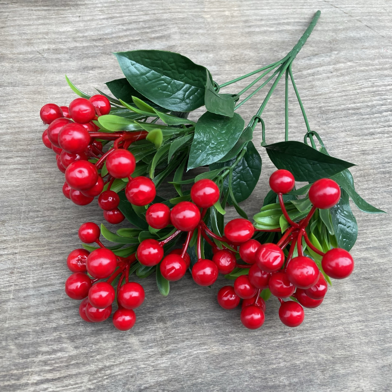 Кущ ягоди калини червоної 37 см 7 гілок, фото 1