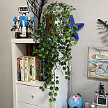 Штучний кущ евкалипт калач 87 см, фото 2