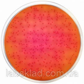 Агар з діамантовим зеленим модифікований (ISO 6579, ISO 19250) Conda 500 г 1143, фото 1