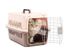 ПРОГУЛЯНКИ І ПОДОРОЖІ