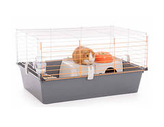 КЛІТКИ ТА АКСЕСУАРИ