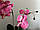 Креативна зелена штучна рослина орхідея Фаленопсис, фото 3