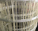 Сітка армувальна ᴓ3, осередок 100х100 (склопластикова), фото 4