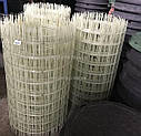 Армосітка склопластикова ᴓ 2, осередок 100х100, фото 4