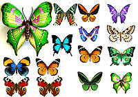 Бабочки ассорти 2 Вафельная картинка
