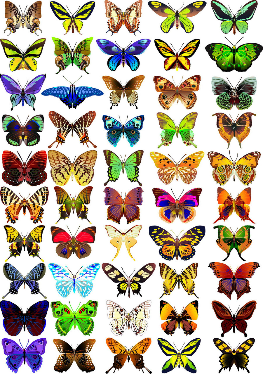 Вафельна картинка Метелики