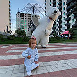 Білий Мішка Київ. Вітання Великого Ведмедя на свято у Києві, фото 4