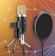 Конденсаторный микрофон ELIMA MK-F100TL BLACK GOLD с поп-фильтром