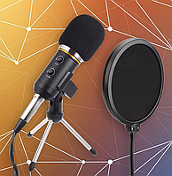 Конденсаторный микрофон ELIMA MK-F200TL BLACK SILVER с поп-фильтром