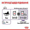 Royal Canin Appetite Control Care in Jelly - Консервований корм для контролю випрошування їжі (желе) 85гр, фото 4