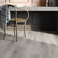 Вінілова підлога Invictus Primus Royal Oak - Dove