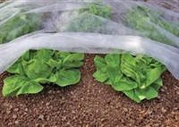 Агроволокно Greentex (Гринтекс)