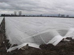 Агроволокно Greentex біле 30 г/м2 — 12,65х100 м