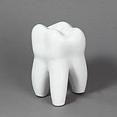 Декор статуетка "Зуб" Білий глянц кераміка 14 см