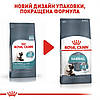 Royal Canin (Роял Канін) Hairball Care - корм сприяє виведення шерсті для дорослих кішок 2 кг, фото 2