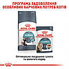 Royal Canin (Роял Канін) Hairball Care - корм сприяє виведення шерсті для дорослих кішок 2 кг, фото 8