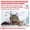 Royal Canin (Роял Канін) Urinary S/O Feline для лікування і профілактики сечокам'яної хвороби у котів, 9кг, фото 8
