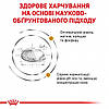 Royal Canin (Роял Канін) Urinary S/O Feline для лікування і профілактики сечокам'яної хвороби у котів, 9кг, фото 4