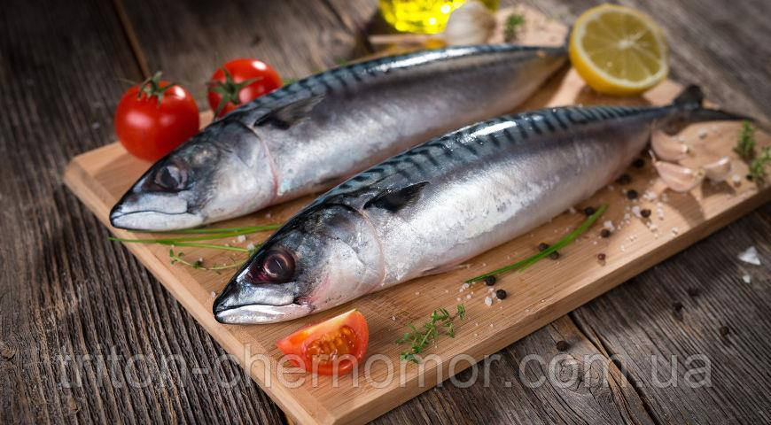 Скумбрія крупна, с/м 500+