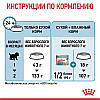 Royal Canin (Роял Канін) Mini Starter - перший твердий корм для цуценят міні порід 1кг, фото 9