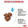 Royal Canin (Роял Канін) Mini Starter - перший твердий корм для цуценят міні порід 1кг, фото 5