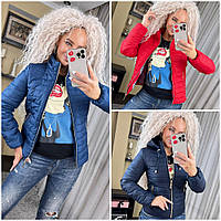 Жіночі демісезонні куртки 0240/а-мк Модна молодіжна коротка куртка курточка демісезонна