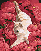 Картина по номерам - Игривая кошка ©Kira Corporal 40х50 см Ideyka KHO4347