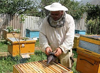 Пленка полиэтиленовая серая для пчеловодства в ульях на метраж и в рулонах, 3 м ширина, 100 мкм