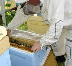 Плівка поліетиленова сіра для бджільництва у вуликах на метраж і в рулонах, 3 м ширина, 100 мкм, фото 3