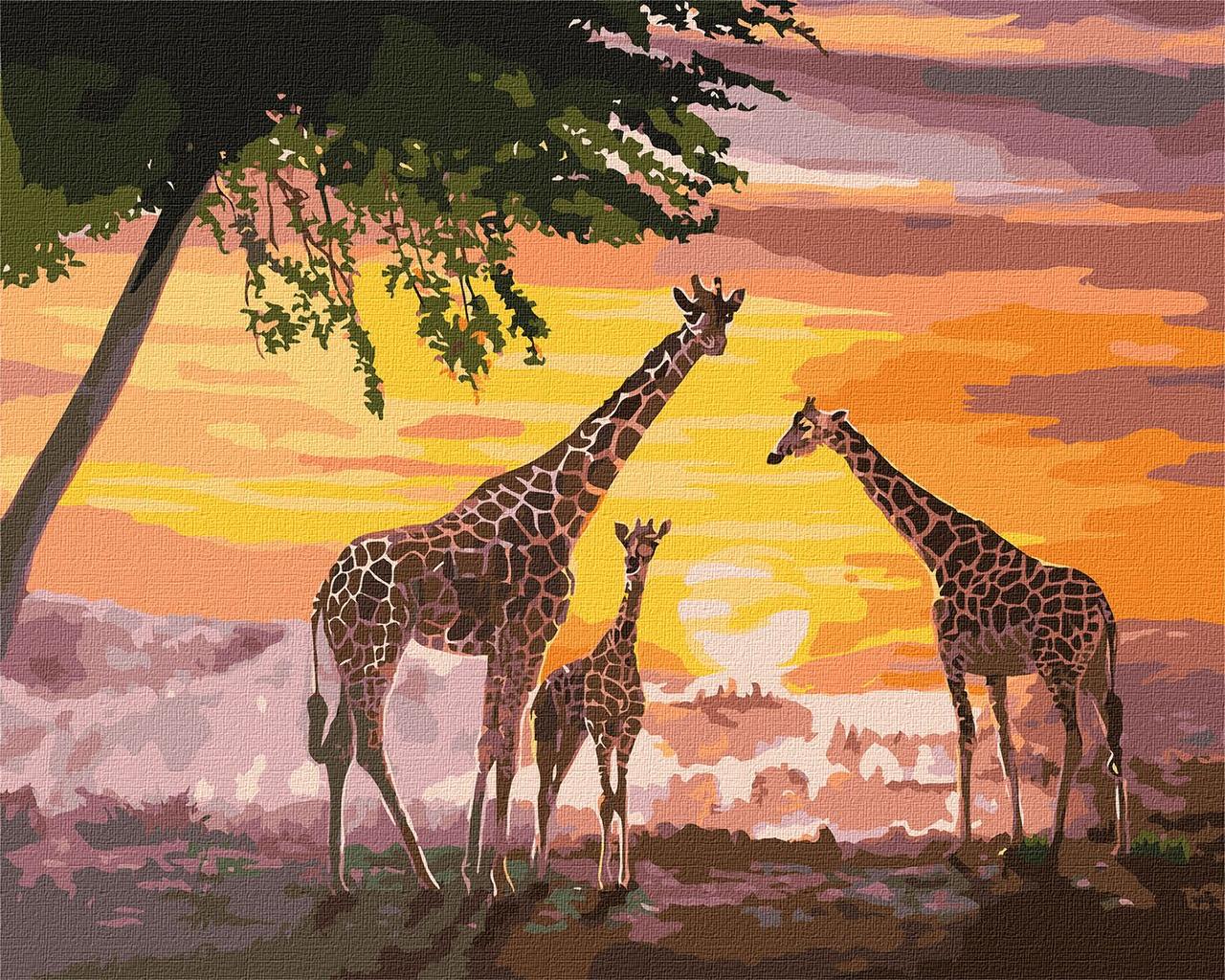 Картина за номерами - Сім'я жирафів ©ArtAlekhina 40х50 см Ideyka KHO4353