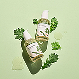 Заспокійлива сироватка для обличчя з морським полином Round Lab MUGWORT Calming Serum 50 мл, фото 2