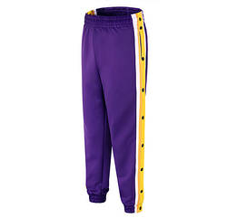 Спортивні чоловічі тренувальні баскетбольні розминкові штани на кнопках фіолетовий