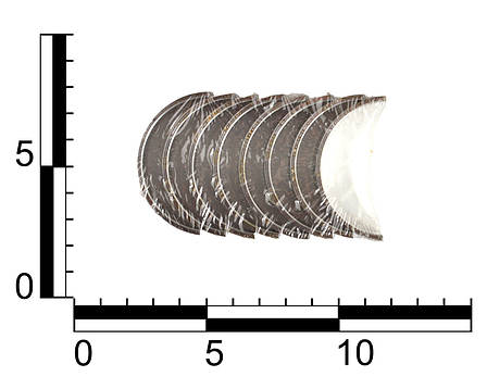 Вкладиш ВАЗ 2101-15, 2121, 2123 (0,010") (0.25) шатунний, к-т, фото 2