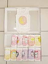 Боді з цифрами на кожен місяць ,1-12 місяців асорті