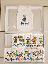 Боді з цифрами на кожен місяць ,1-12 місяців тварини