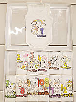 Боді з цифрами на кожен місяць ,1-12 місяців асорті 2