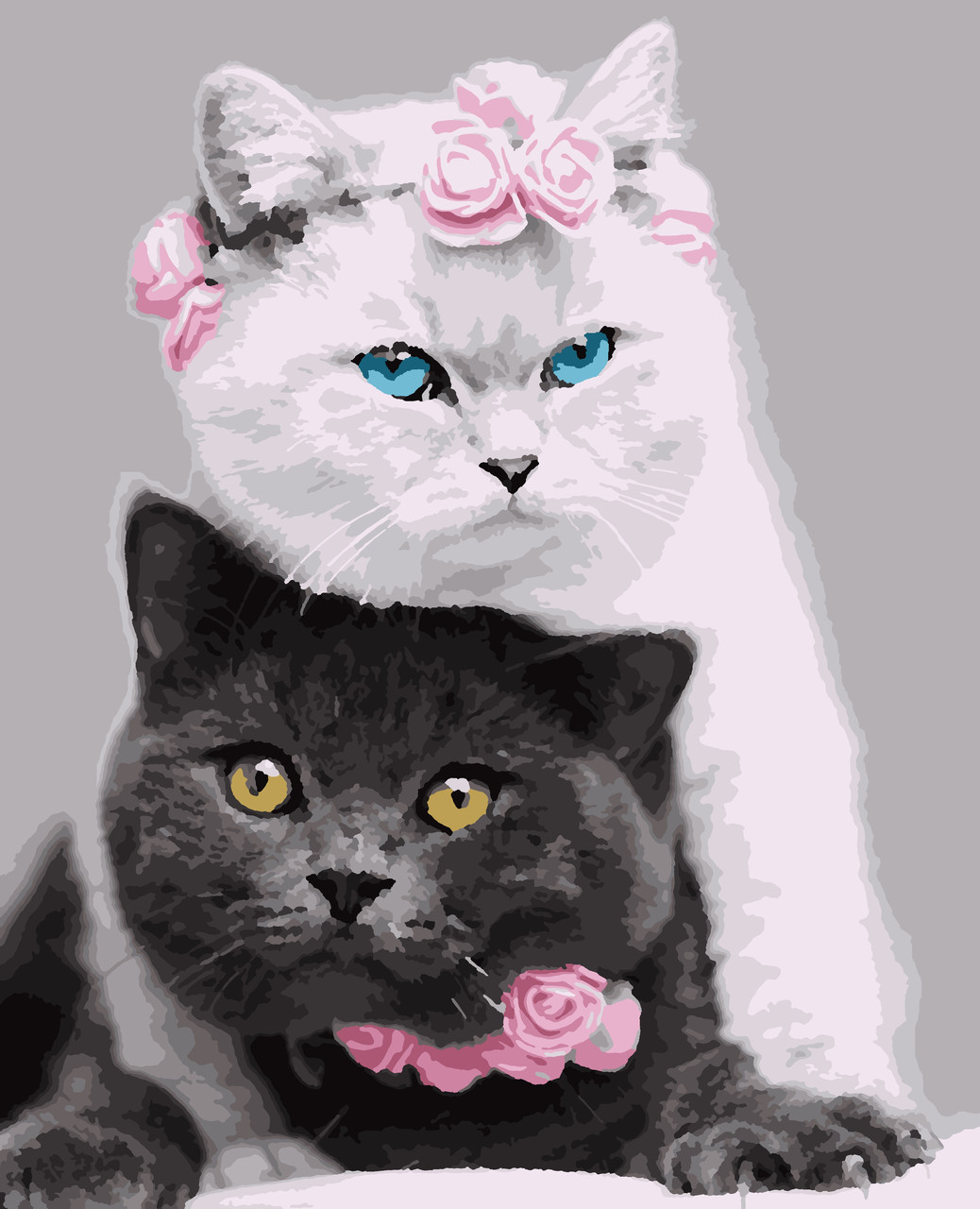 Купить Картины по номерам "Котики" 40*50см, цена 250 ₴ — Prom.ua (ID ...